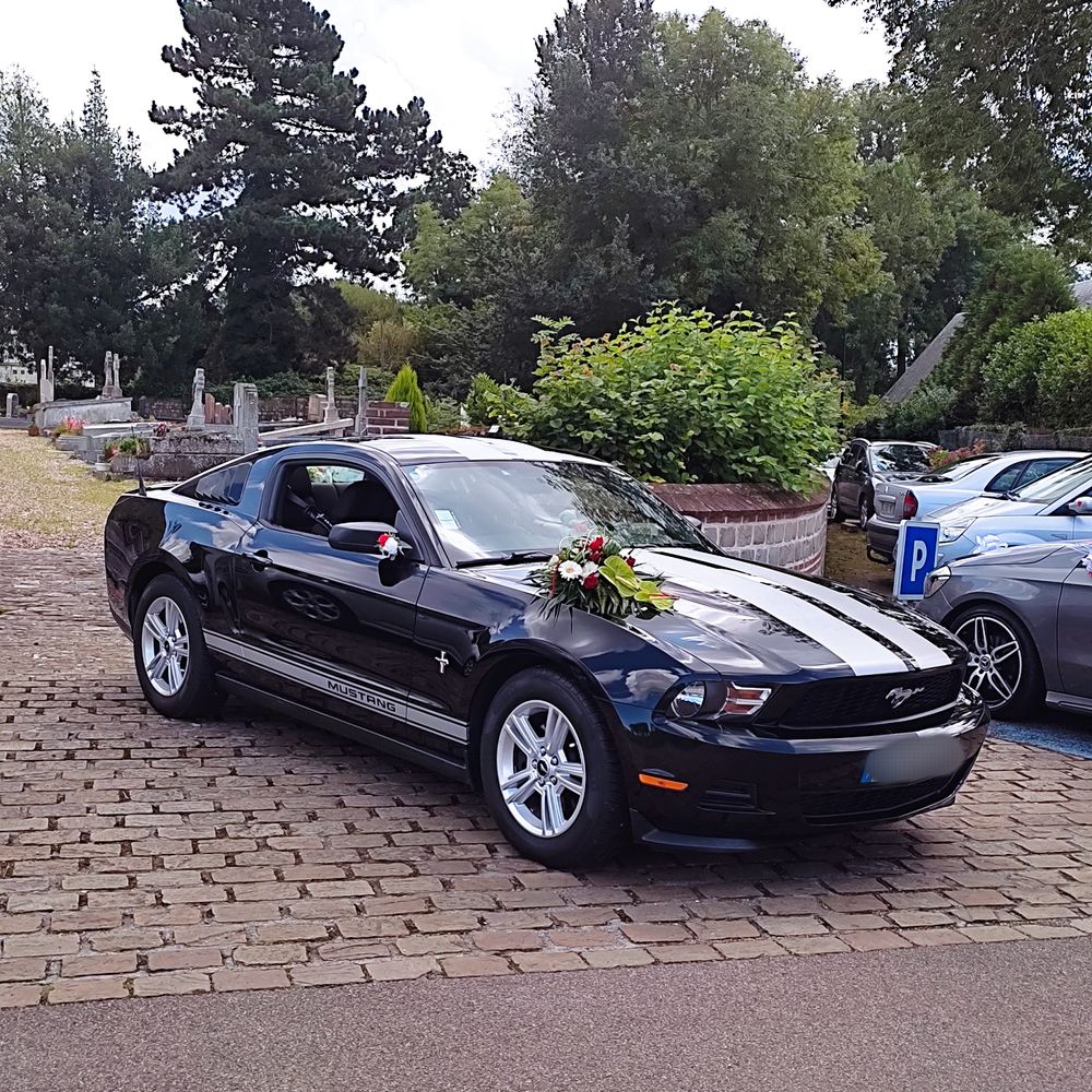 FORD Mustang  0
