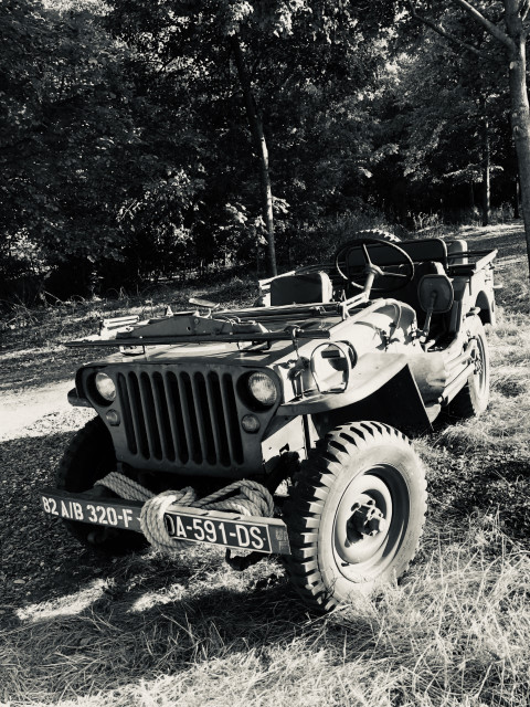 JEEP willys  2
